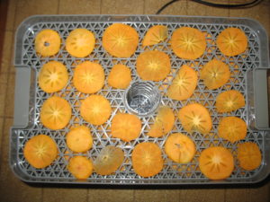 persimmons, dehydrator, dried persimmons