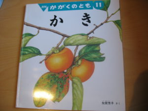 Kaki, persimmons, Japanese textbook, Yazama Yoshiko